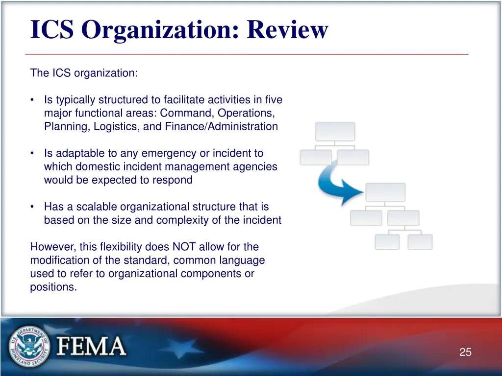ics organization review