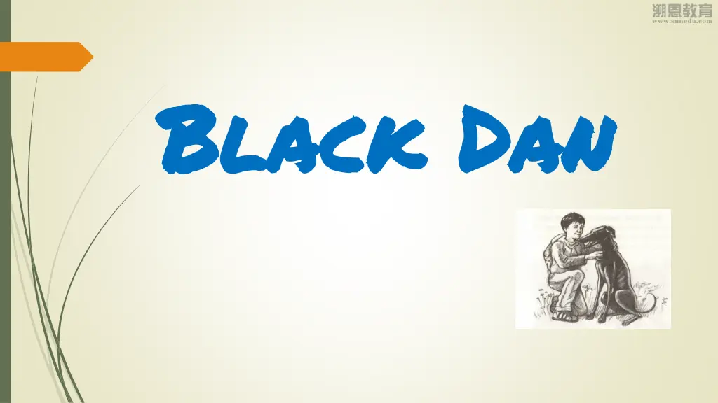 black dan black dan