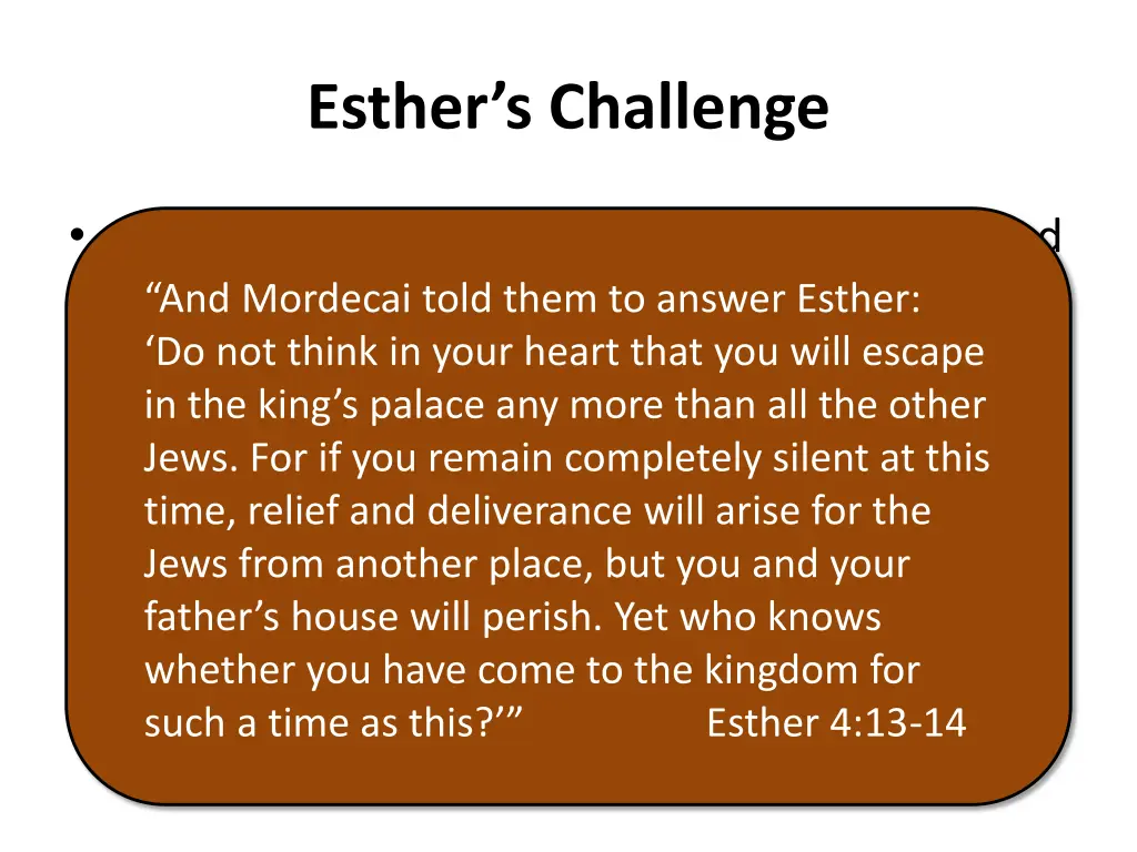 esther s challenge 1