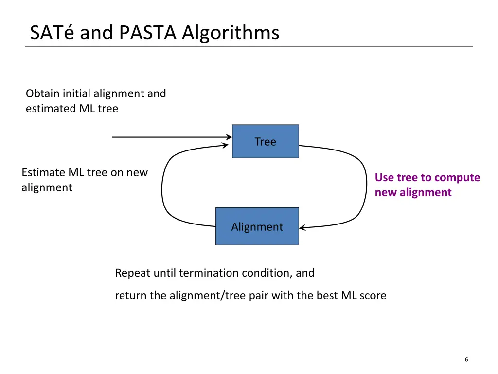 sat and pasta algorithms