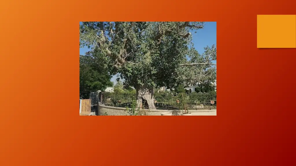 slide17