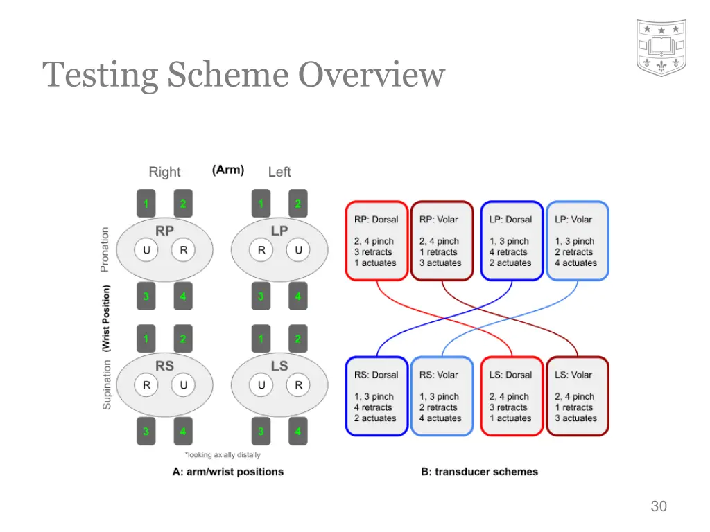 testing scheme overview