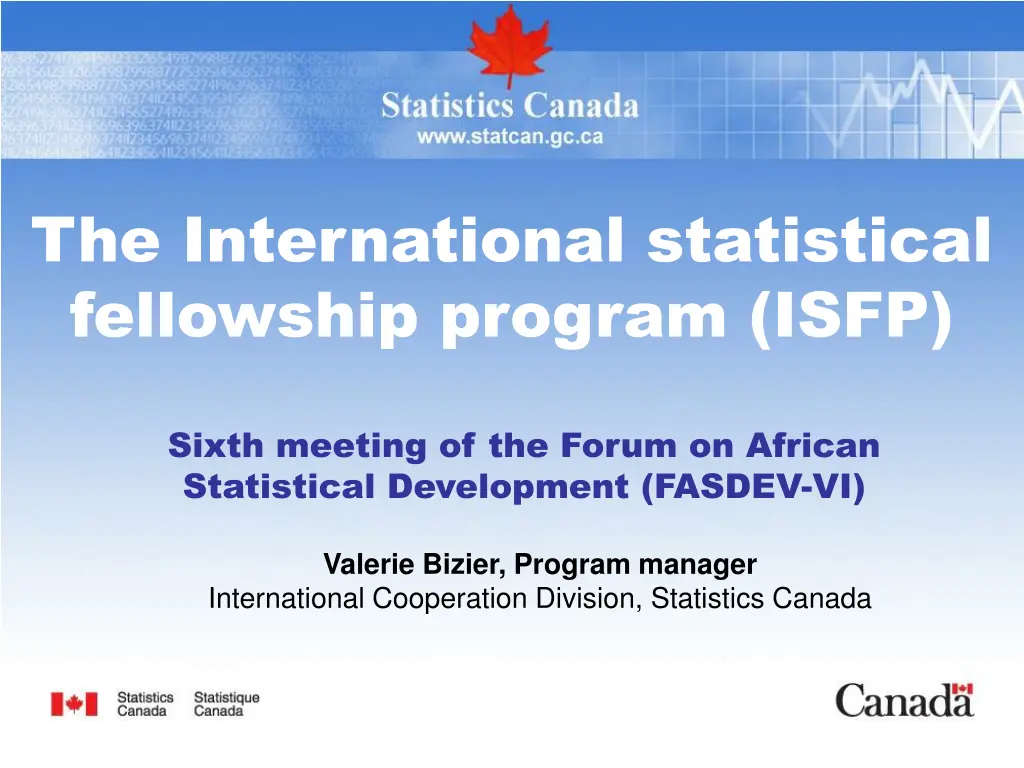 the international statistical fellowship program
