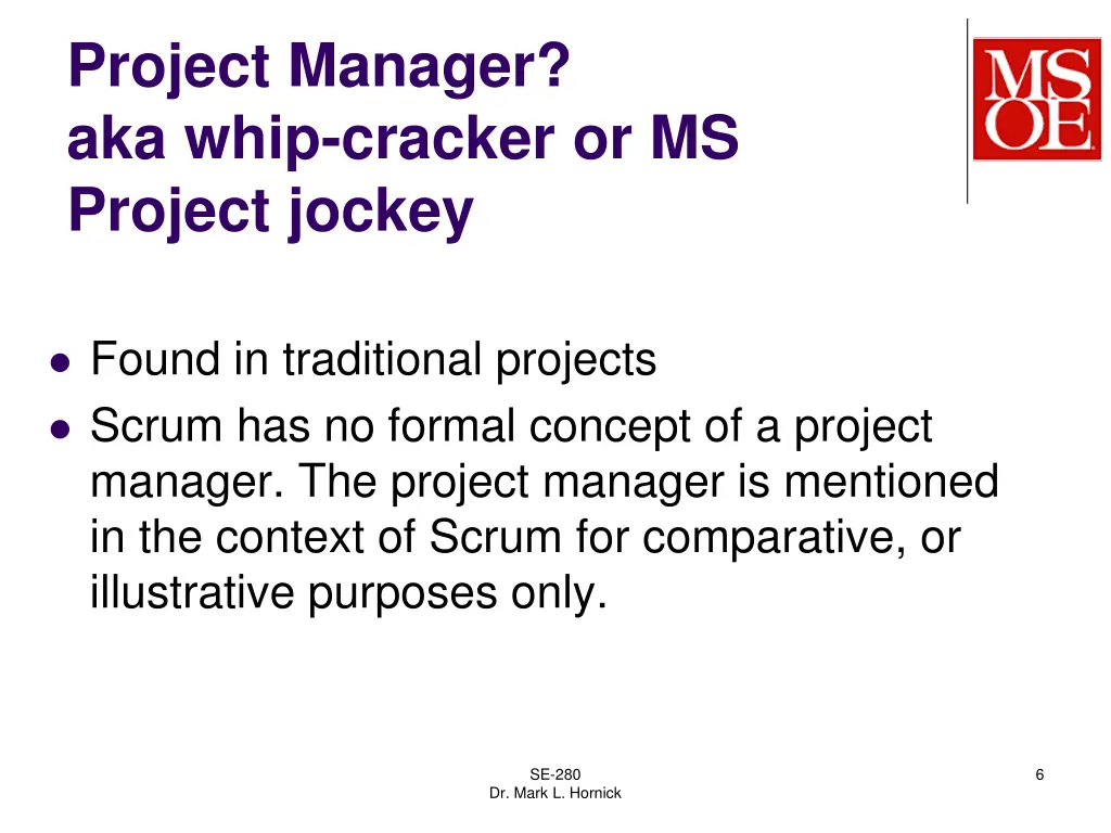 project manager aka whip cracker or ms project
