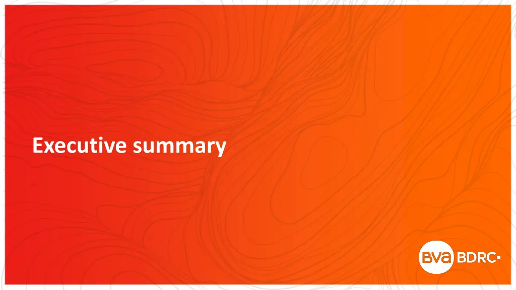 executive summary