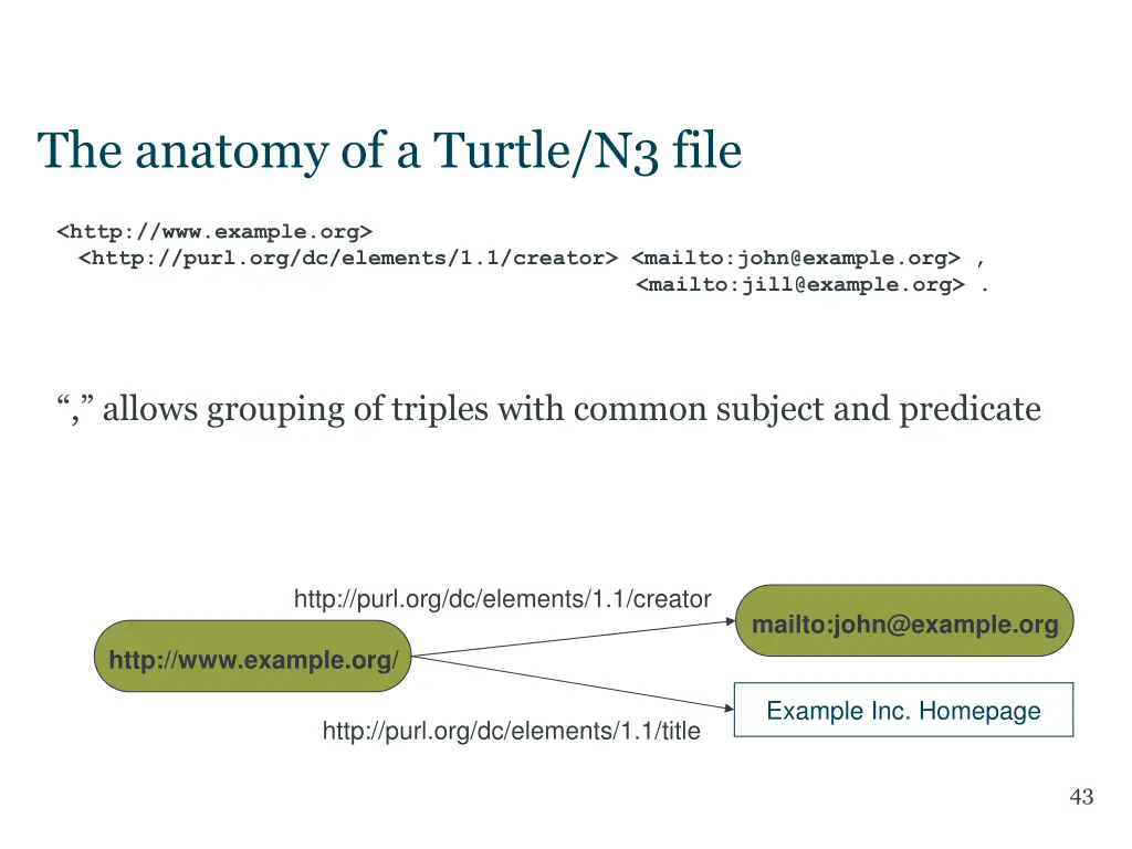 the anatomy of a turtle n3 file