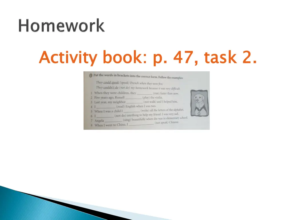 activity book