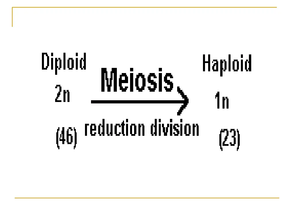 slide5