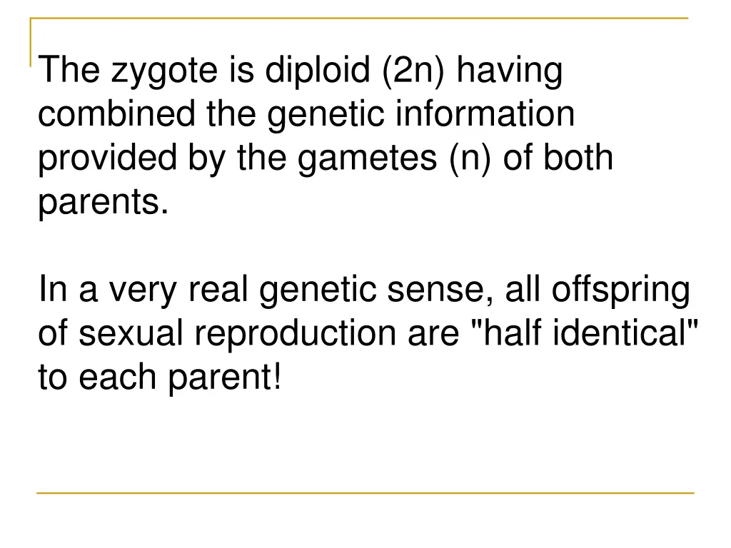 the zygote is diploid 2n having combined