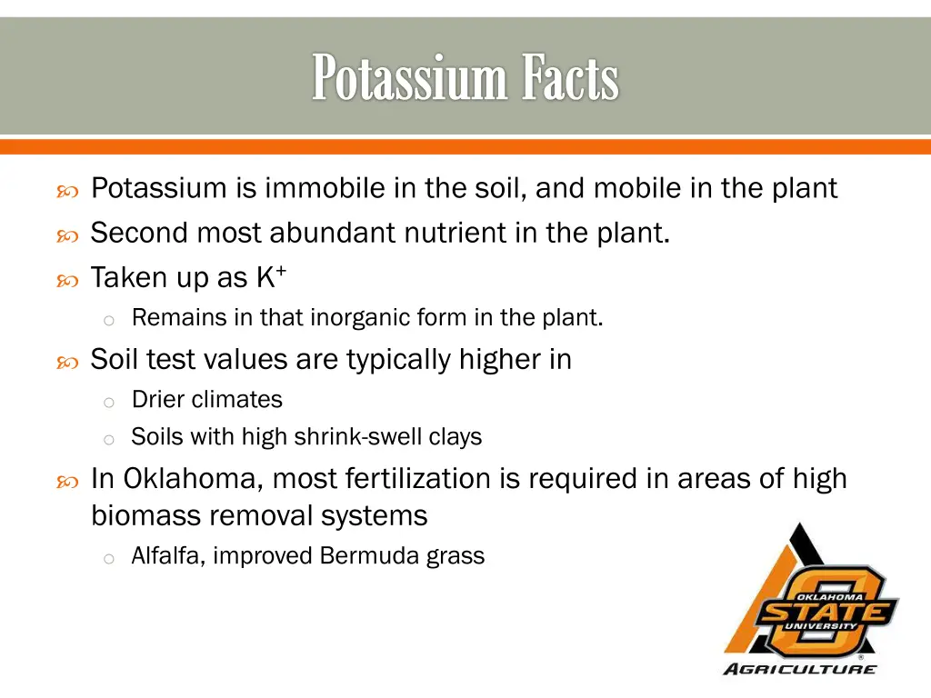 potassium facts