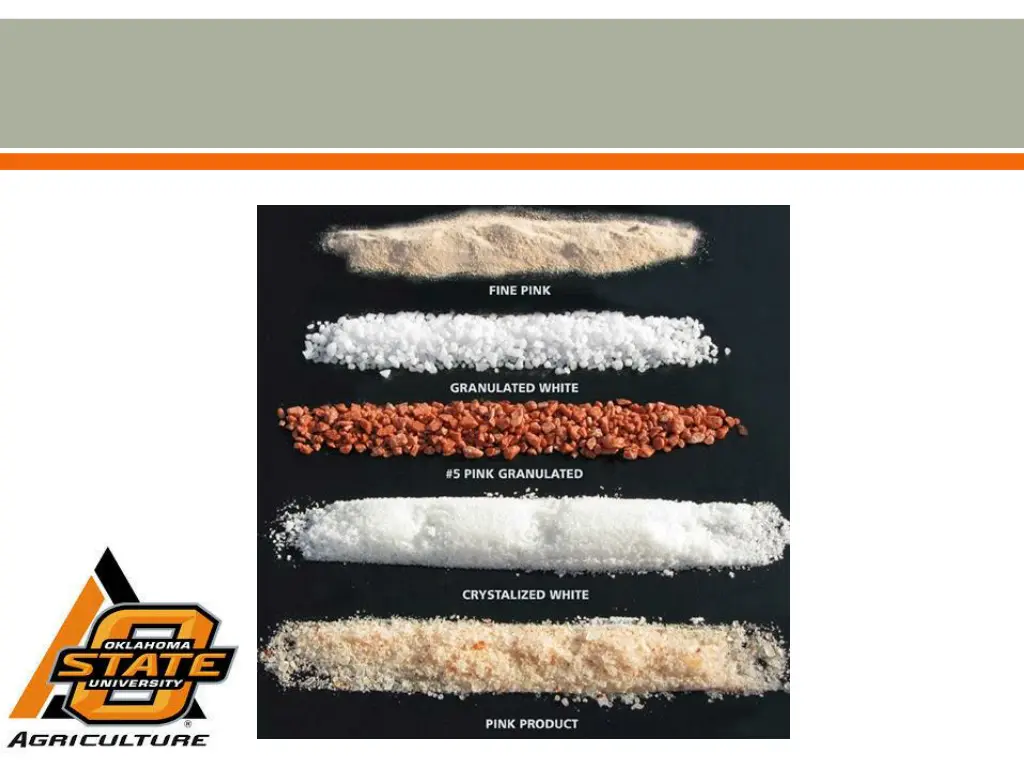 slide7