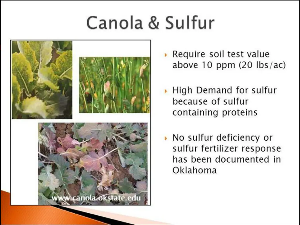 slide9