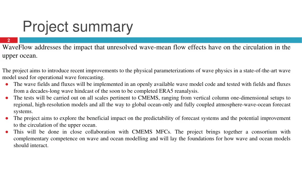 project summary