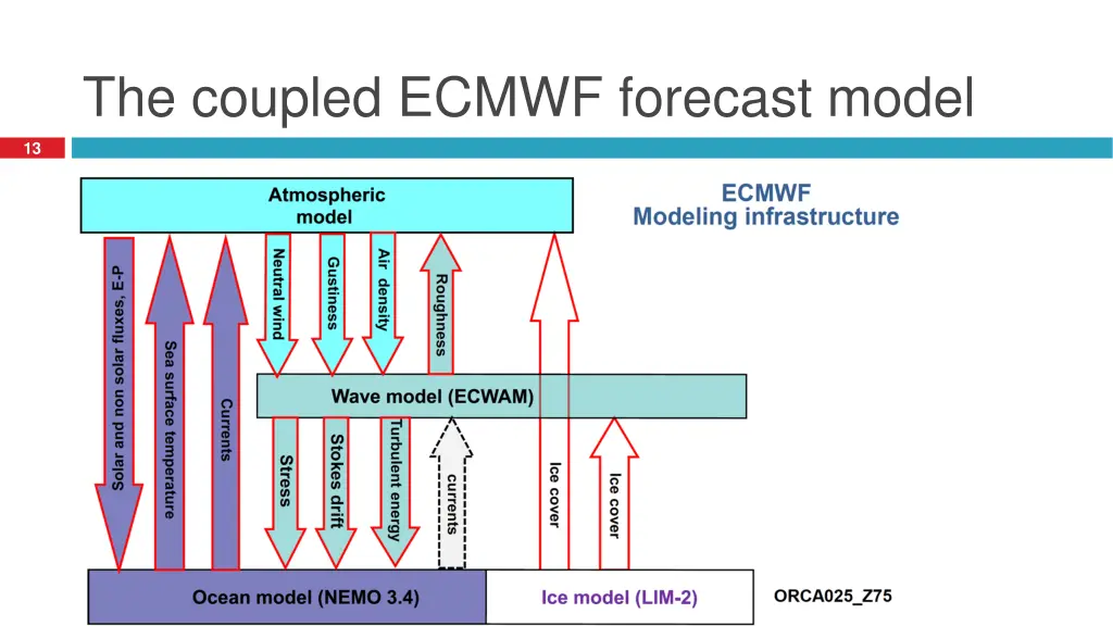 the coupled ecmwf forecast model