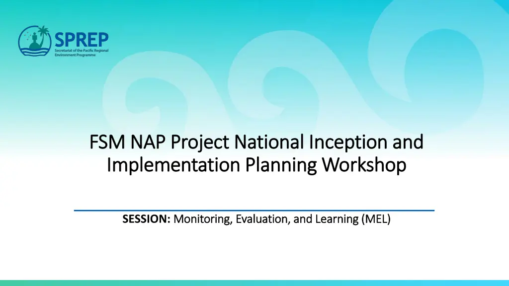 fsm nap project national inception