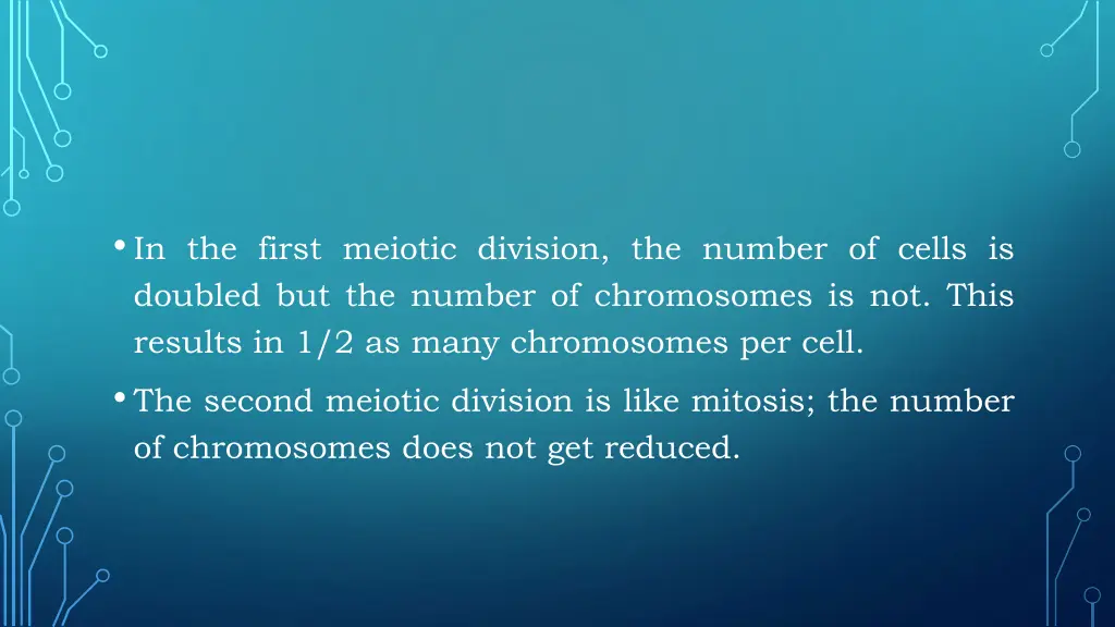 in the first meiotic division the number of cells