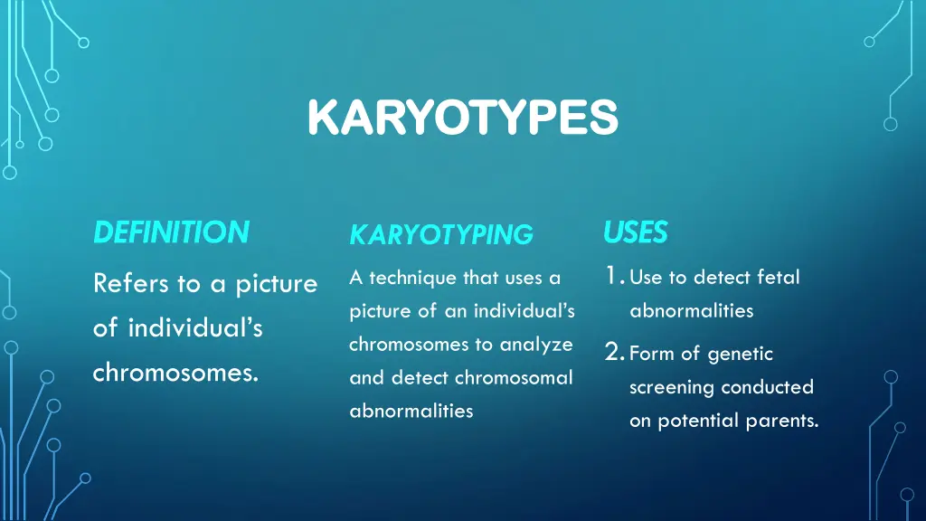 karyotypes karyotypes