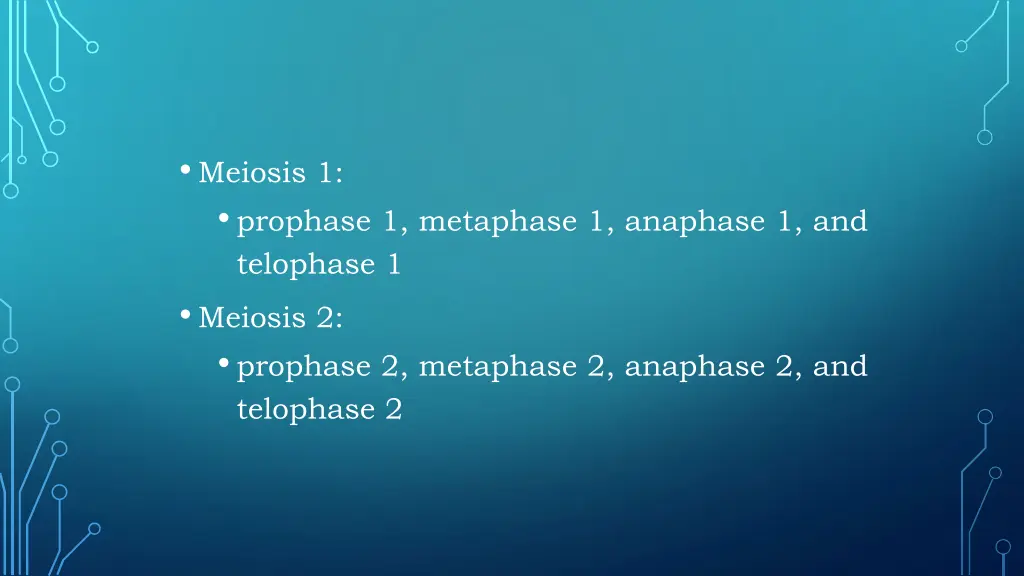 meiosis 1 prophase 1 metaphase 1 anaphase