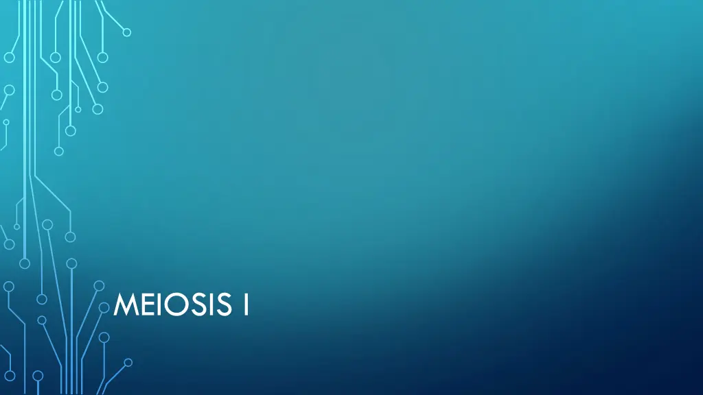 meiosis i