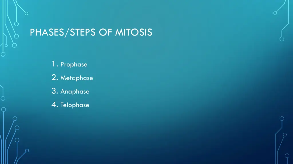 phases steps of mitosis