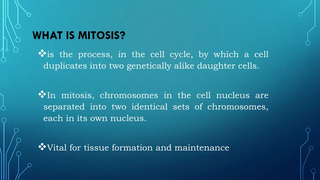 what is mitosis