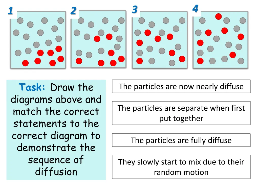 slide7