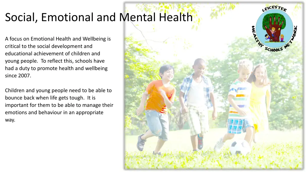 social emotional and mental health