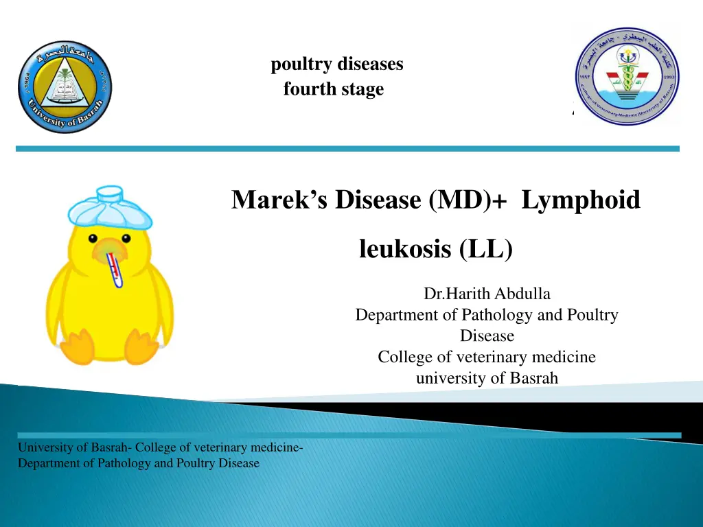 poultry diseases fourth stage