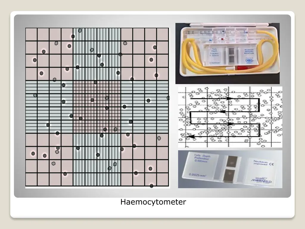 haemocytometer