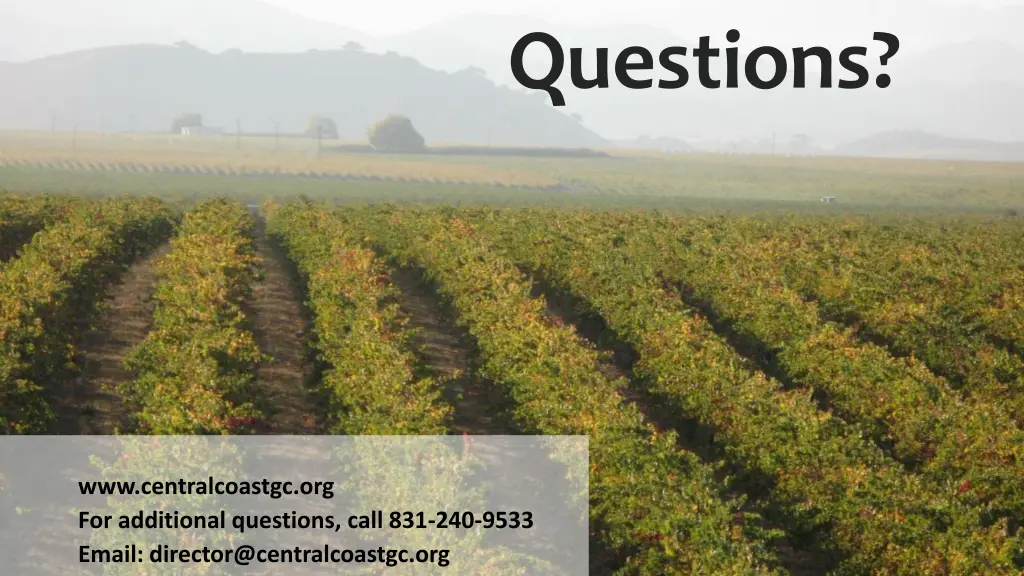 questions