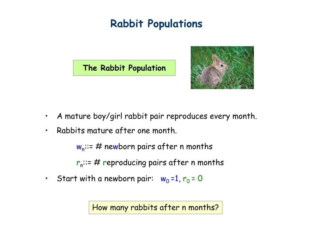 rabbit populations