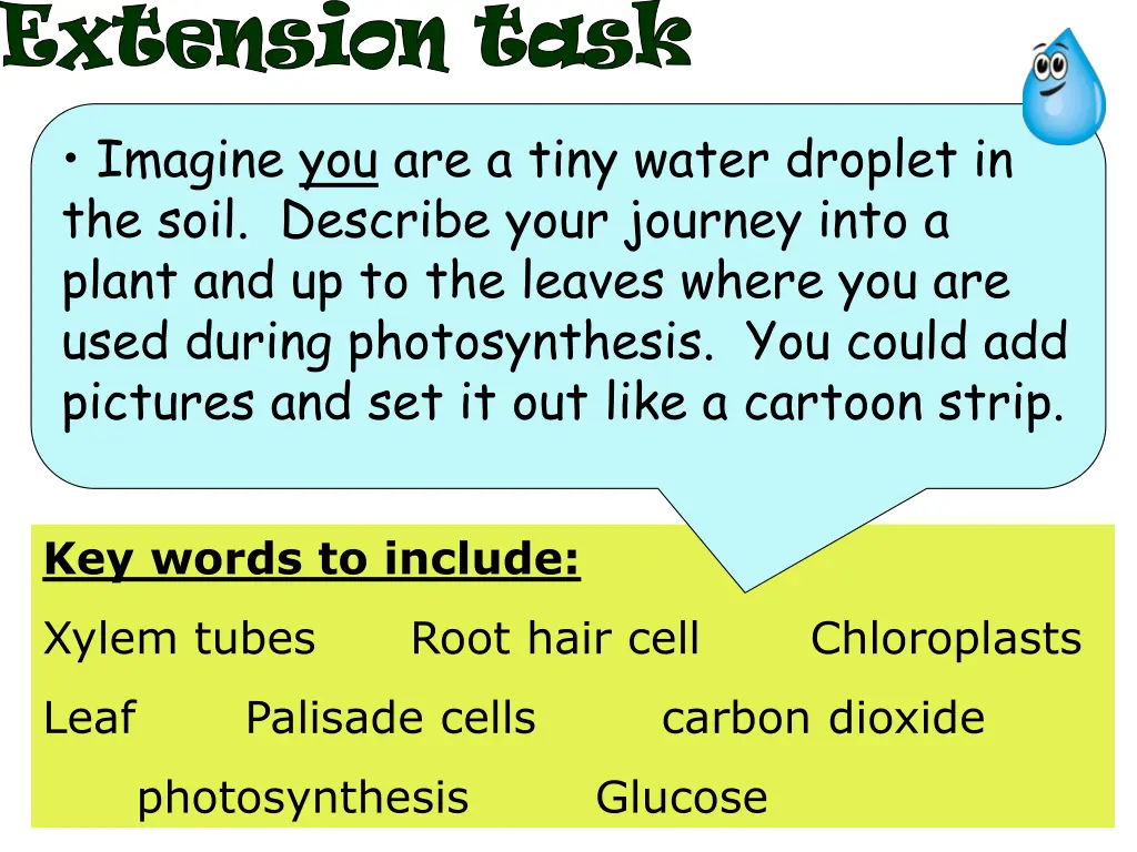 extension task