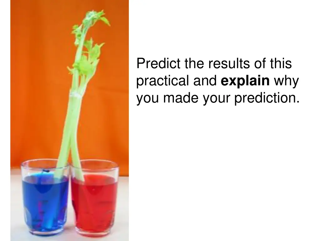 predict the results of this practical and explain