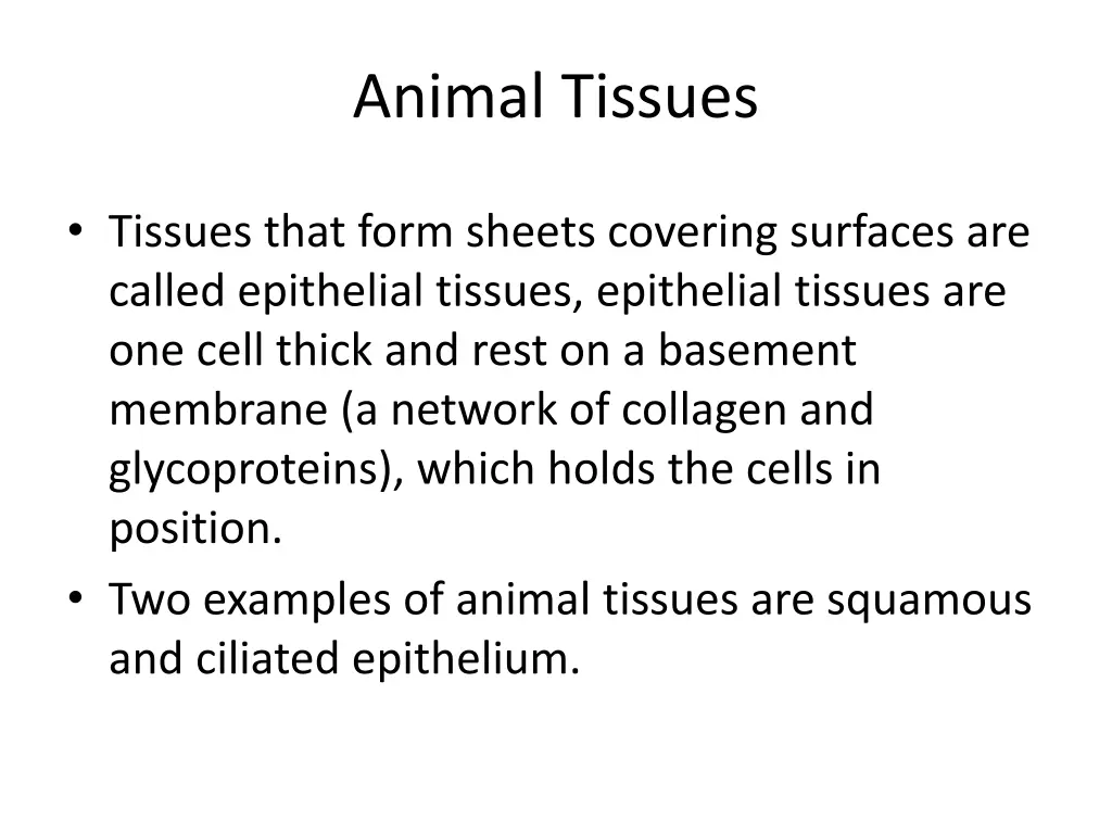 animal tissues