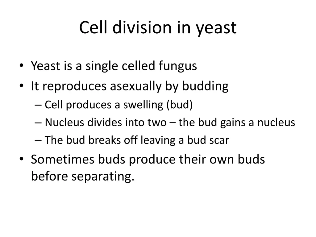 cell division in yeast