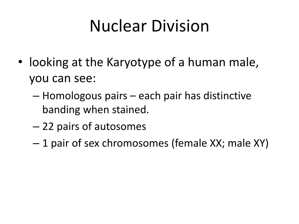 nuclear division