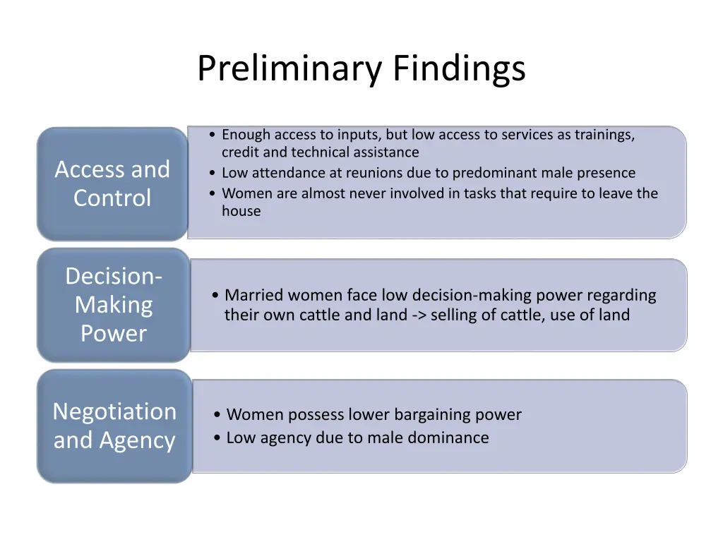 preliminary findings