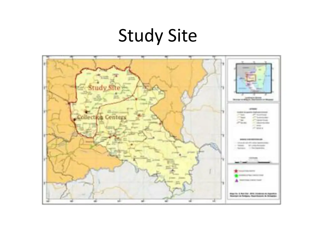 study site