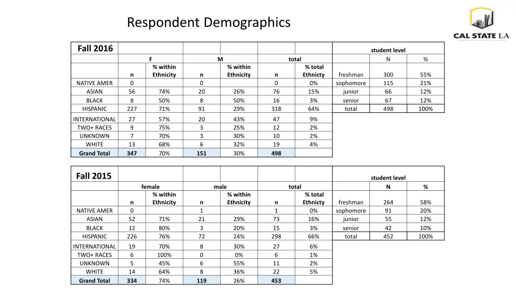 respondent demographics