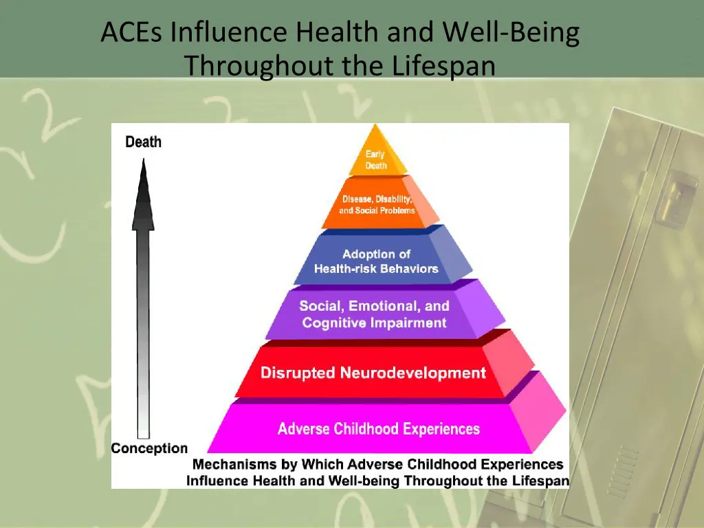 aces influence health and well being throughout