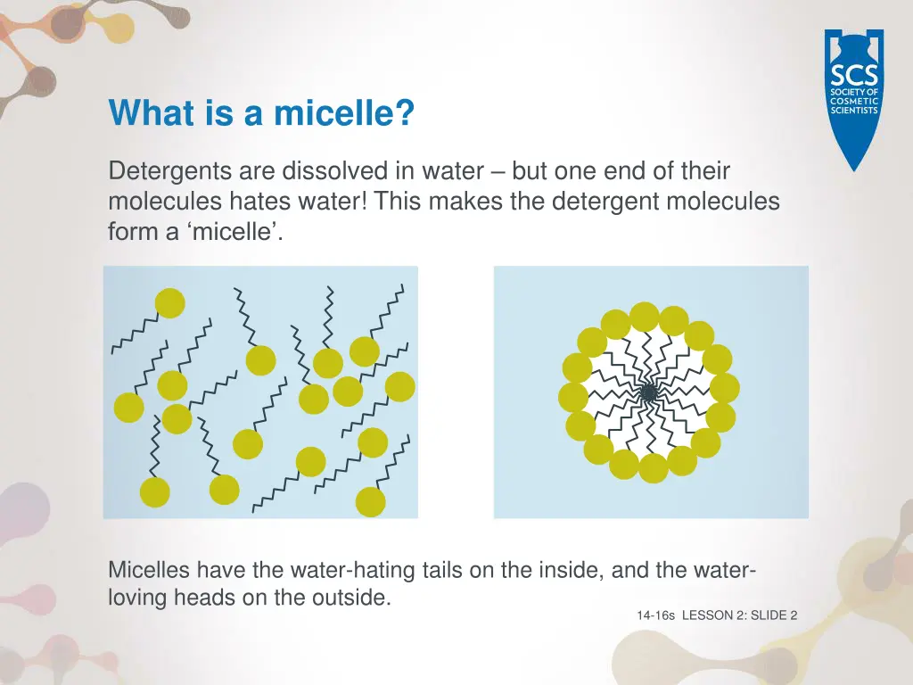 what is a micelle