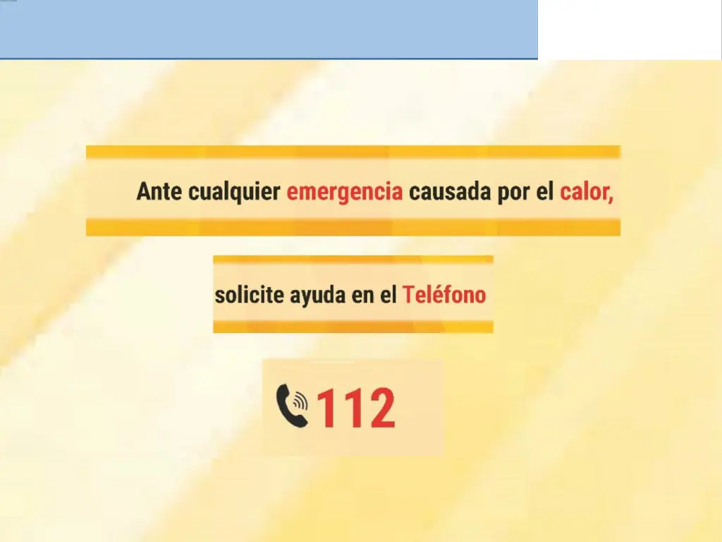 p gina 11