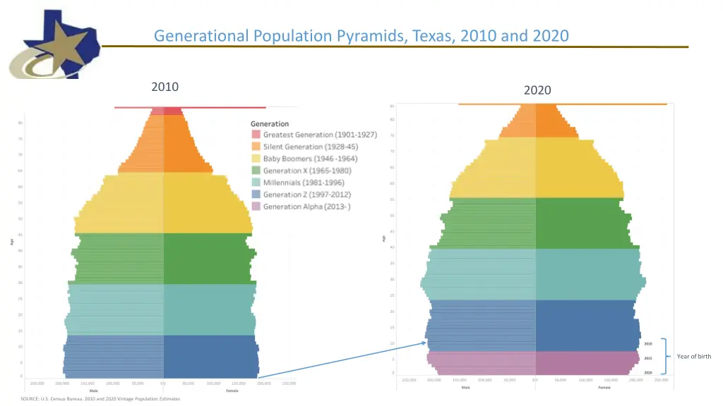 generational population pyramids texas 2010