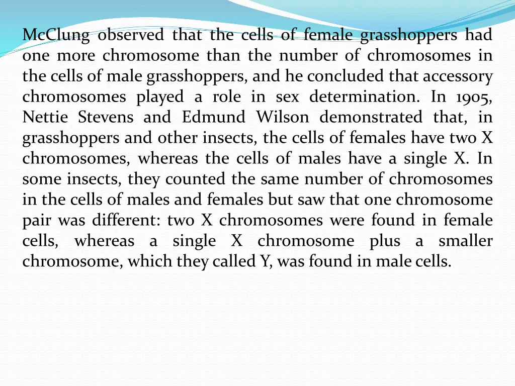 mcclung observed that the cells of female