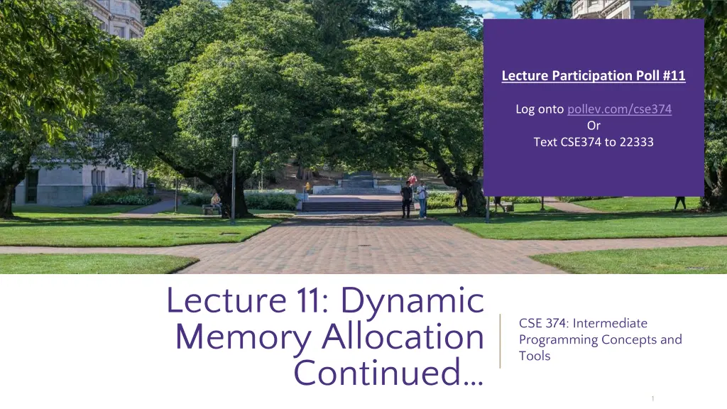 lecture participation poll 11