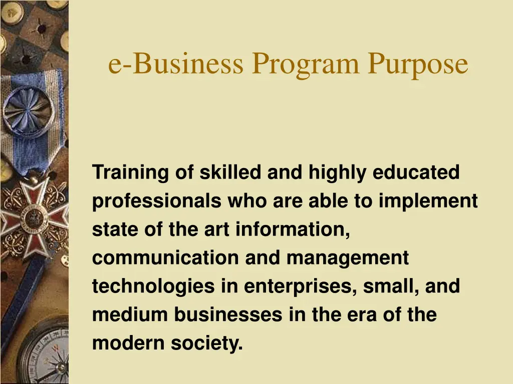 e business program purpose