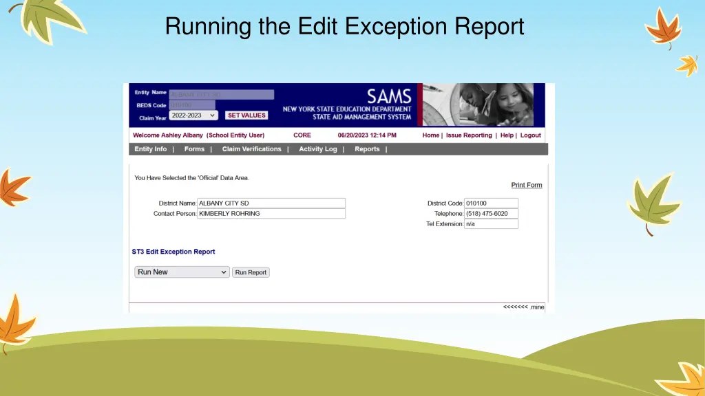 running the edit exception report 1