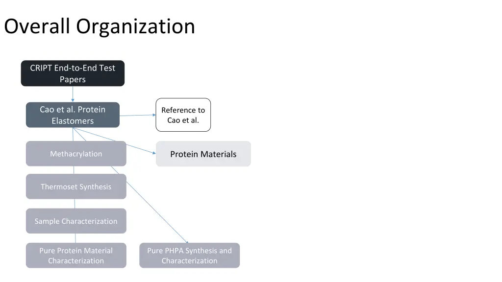 overall organization