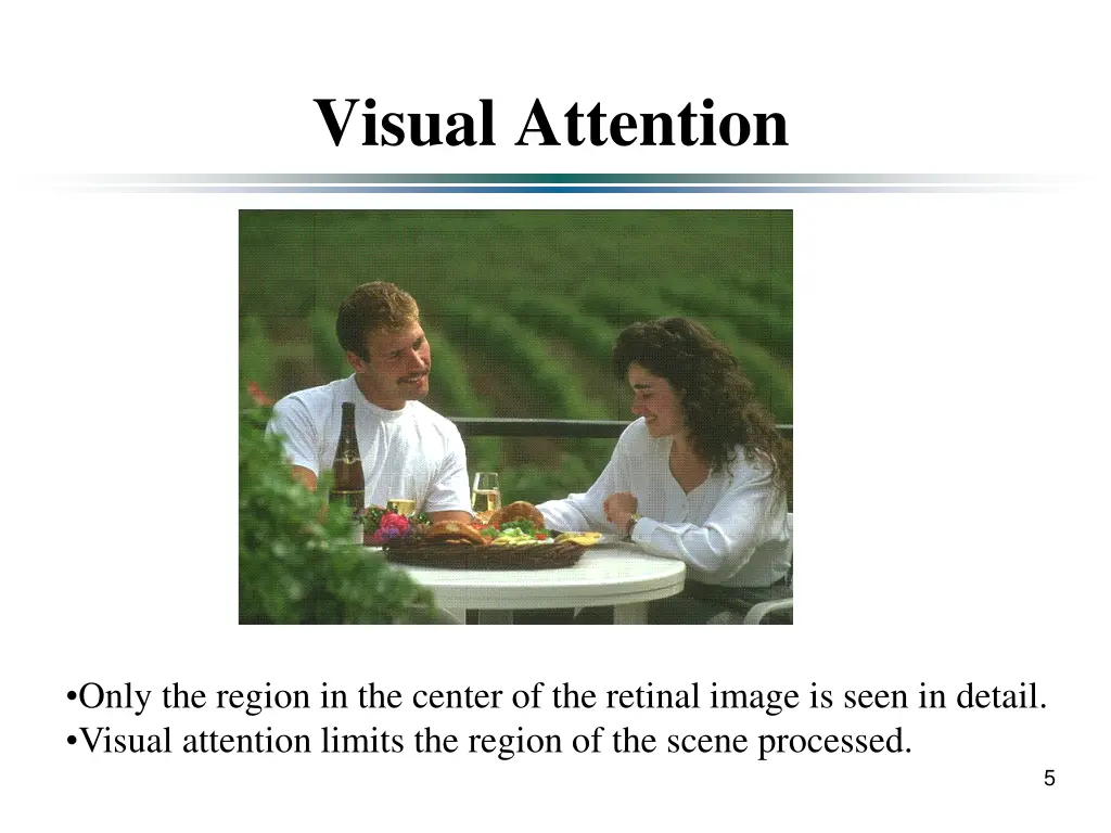 visual attention