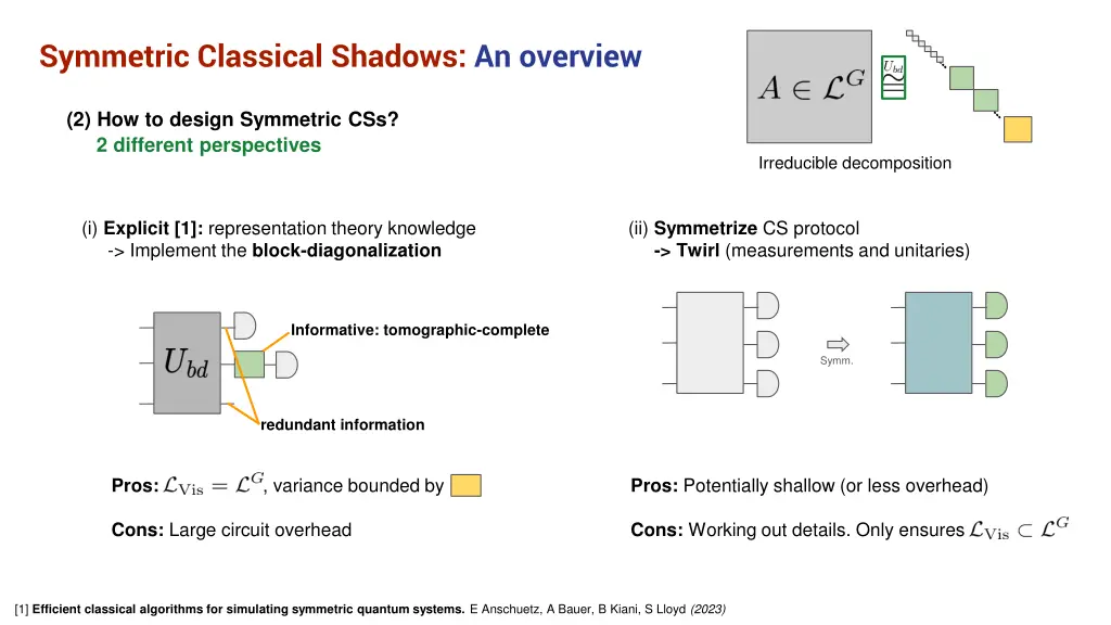symmetric classical shadows an overview